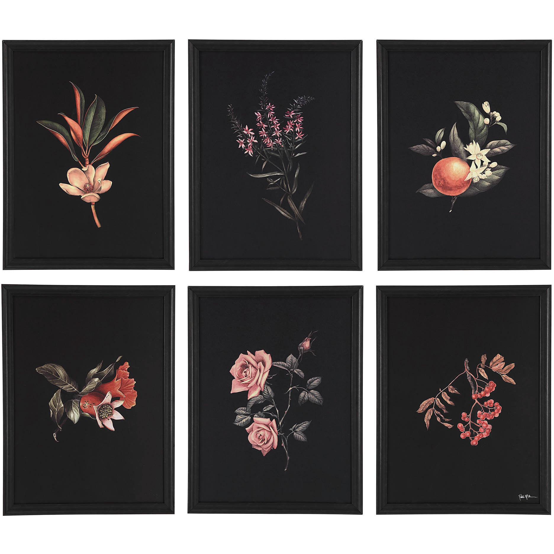Wallflower Black/Multiple Wall Art, 6 Piece