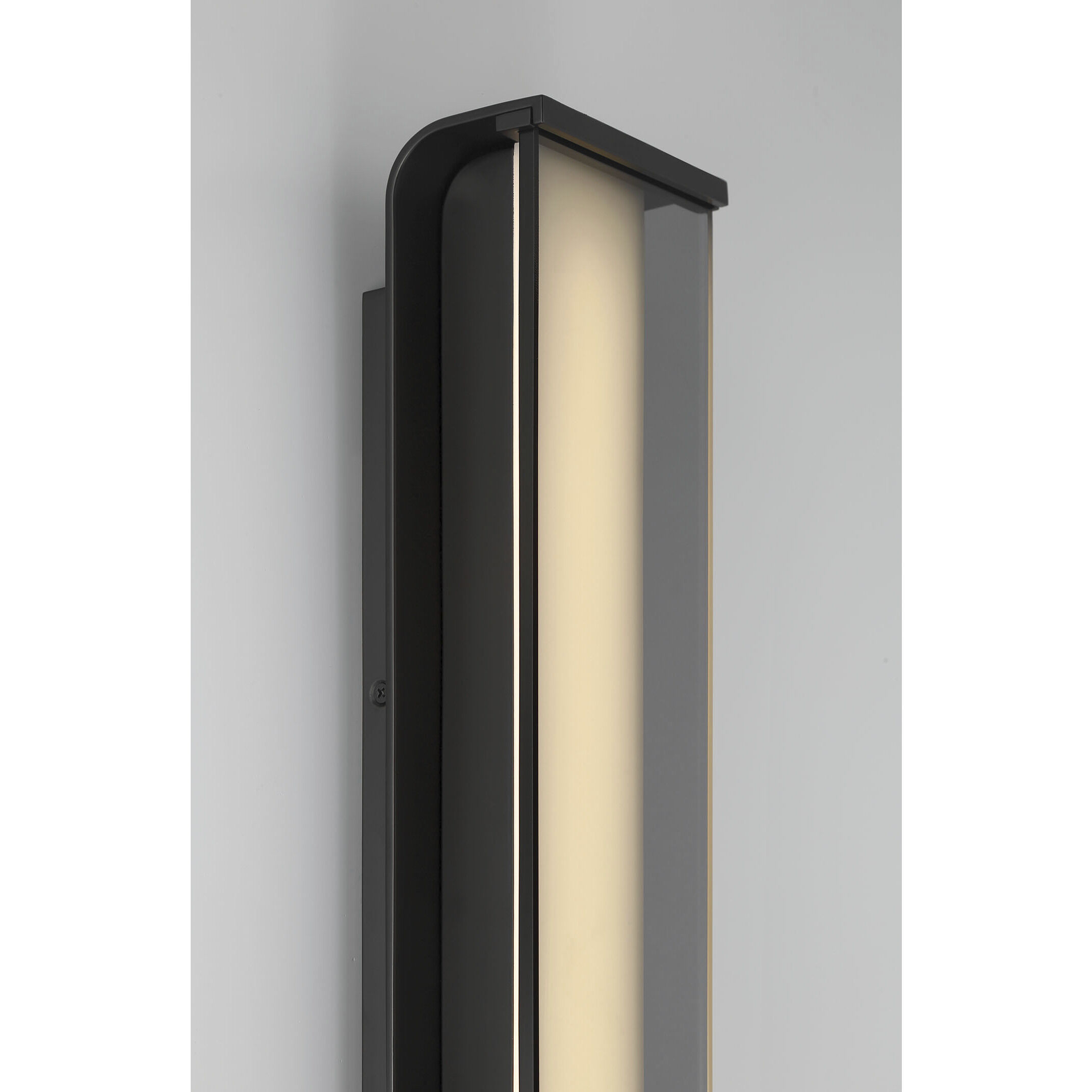 Dulton LED 24.4 inch Matte Black Outdoor Wall Sconce