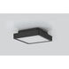 Patrol Q LED 9.29 inch Black Outdoor Ceiling Mount