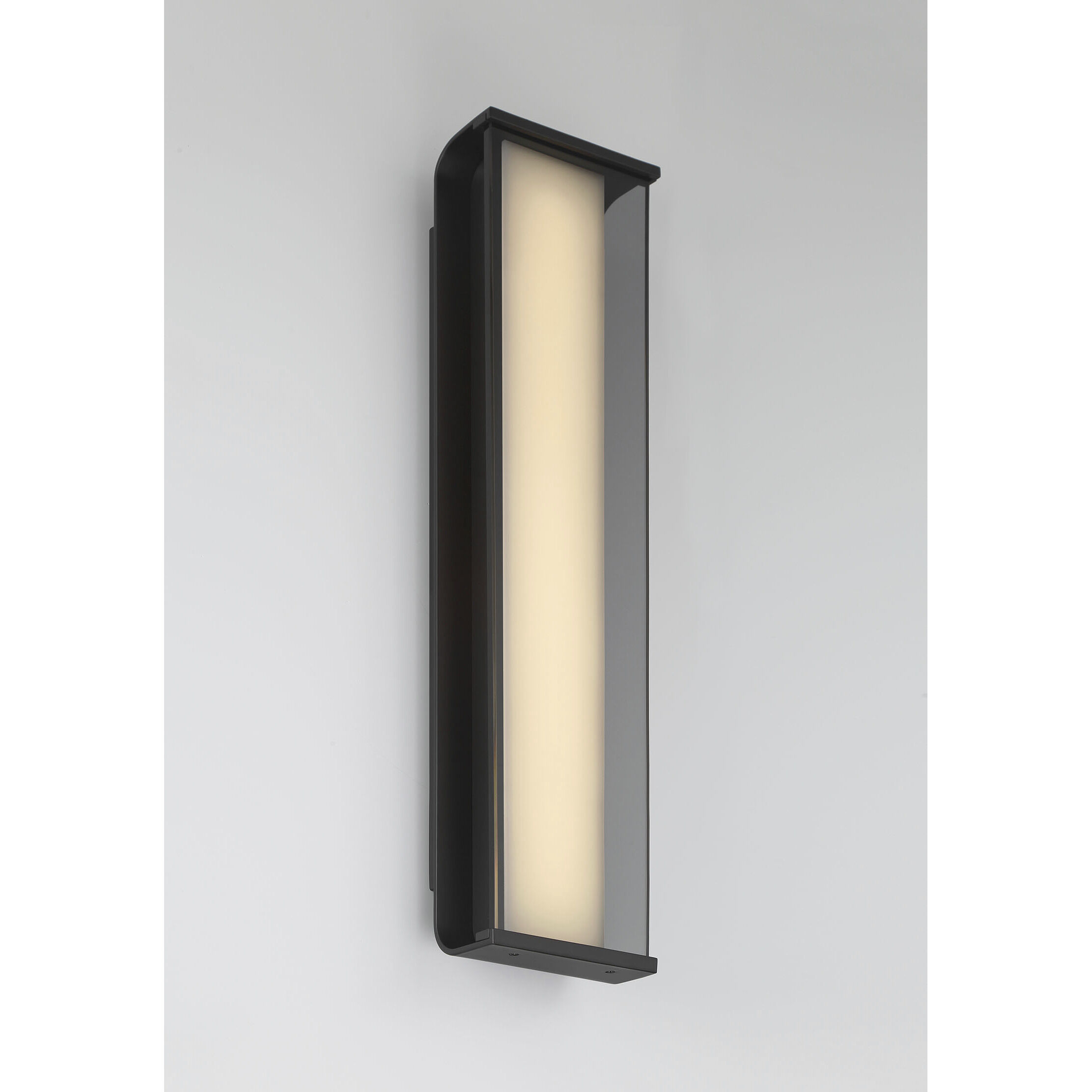 Dulton LED 24.4 inch Matte Black Outdoor Wall Sconce