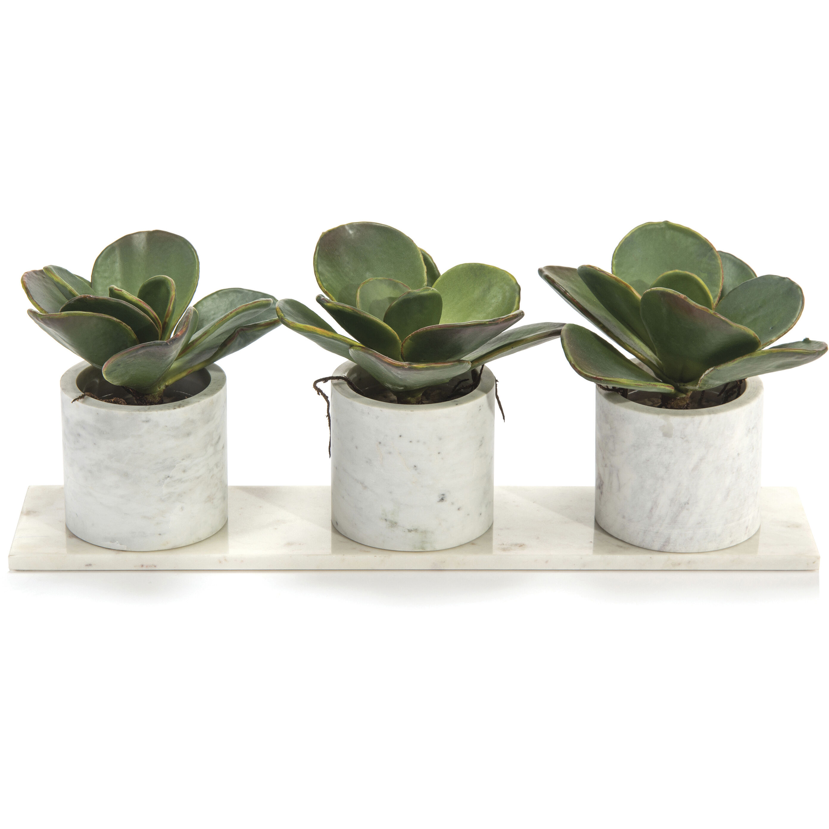 Marble Decorative Plant