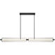 Neoness LED 67 inch Matte Black Linear Chandelier Ceiling Light in Clear