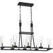Nerito 8 Light 14 inch Matte Black Chandelier Ceiling Light