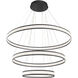 Forster LED 60 inch Black Chandelier Ceiling Light