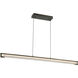 Neoness LED 50 inch Weathered Brass Linear Chandelier Ceiling Light in Clear