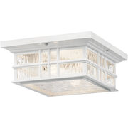 Outdoor Ceiling Lights
