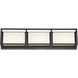 Tamar LED 20 inch Black Vanity Light Wall Light, Small