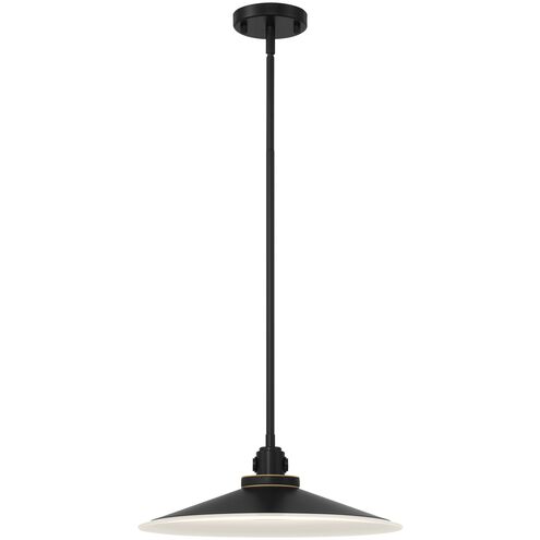 Deckard 1 Light 16 inch Gold and Black Outdoor Pendant