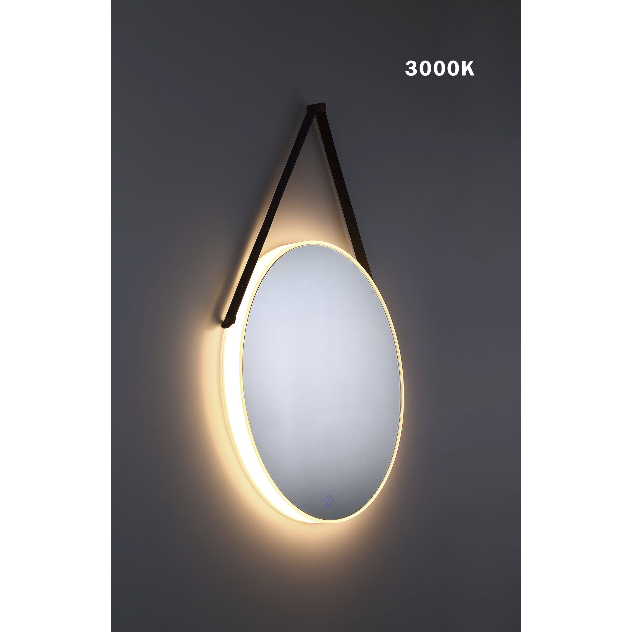 Salerno 23.75 inch Mirror Mirror