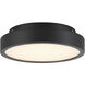 Patrol LED 9.84 inch Black Outdoor Ceiling Mount