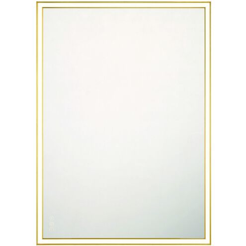 Nixon 42 X 30 inch Gold Mirror