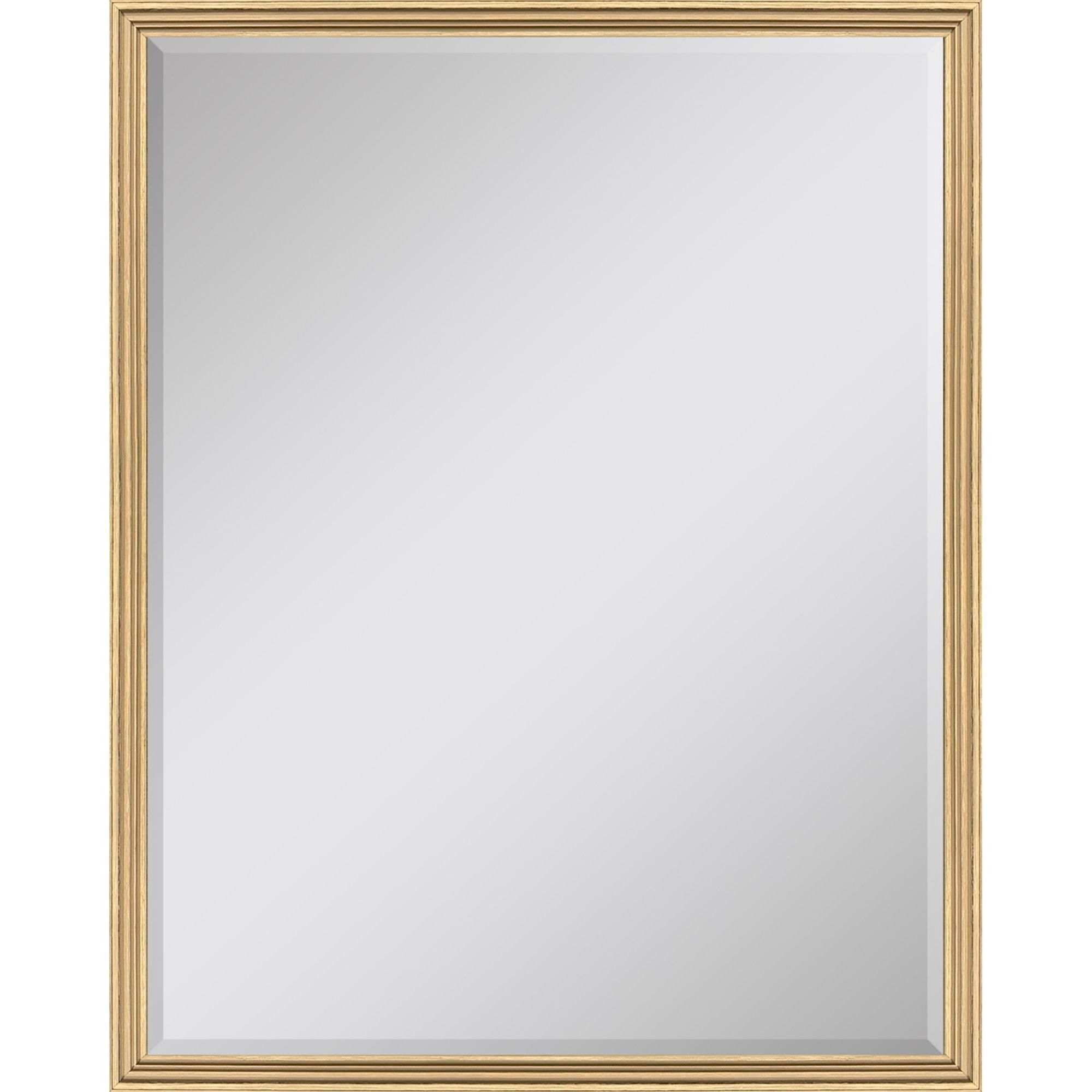 547 Mirror Group 50 X 38 inch Metallic Wall Mirror