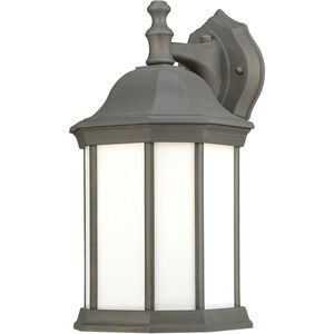 Hawthorne 1 Light 14 inch Painted Bronze with White Outdoor Wall Sconce