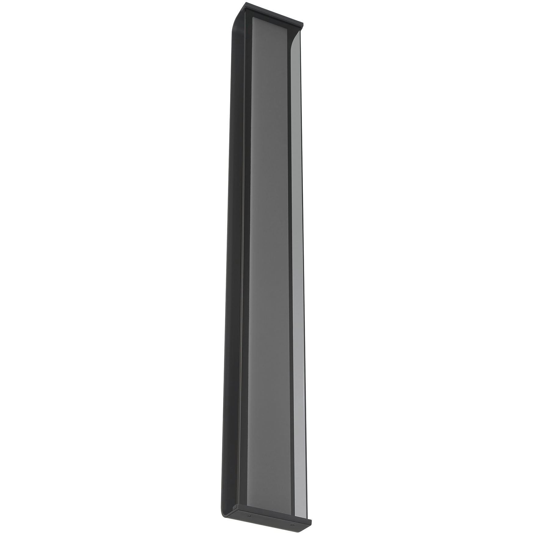 Dulton LED 42.25 inch Matte Black Outdoor Wall Sconce