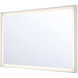 Lenora 54 X 32 inch Silver Mirror