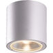 Sky LED 3.5 inch Marine Grey Outdoor Ceiling Mount, Small