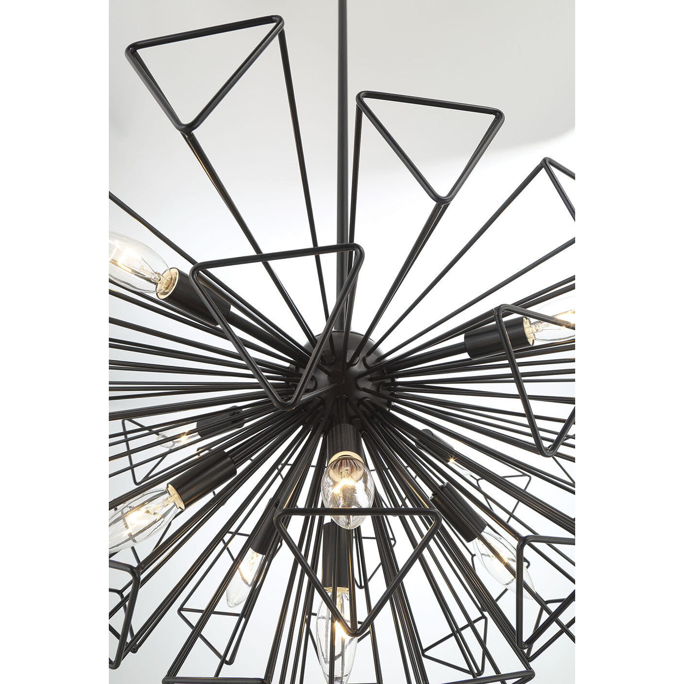 Dendelio 10 Light 24.5 inch Black Chandelier Ceiling Light