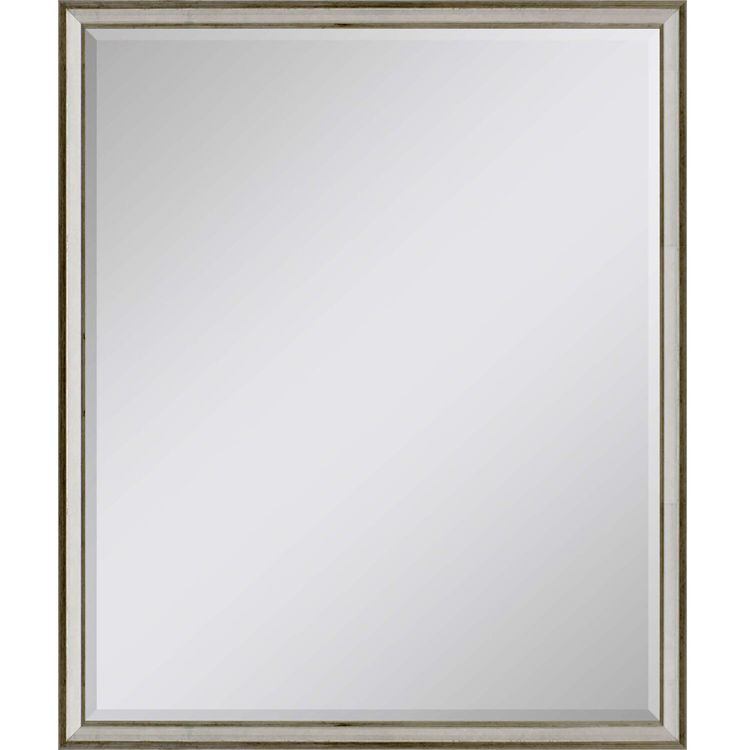 615 Mirror Group 30 X 24 inch Metallic and Neutral Wall Mirror