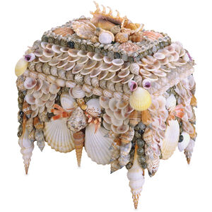 Boardwalk Shell 10 X 8 inch Natural Jewelry Box