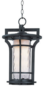 Oakville 1 Light 12 inch Black Oxide Outdoor Hanging Lantern