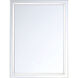 Eris 32 X 24 inch Mirror Mirror, Small