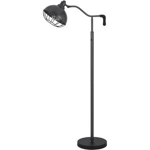 Taloga 56 inch 60.00 watt Black Iron Floor Lamp Portable Light