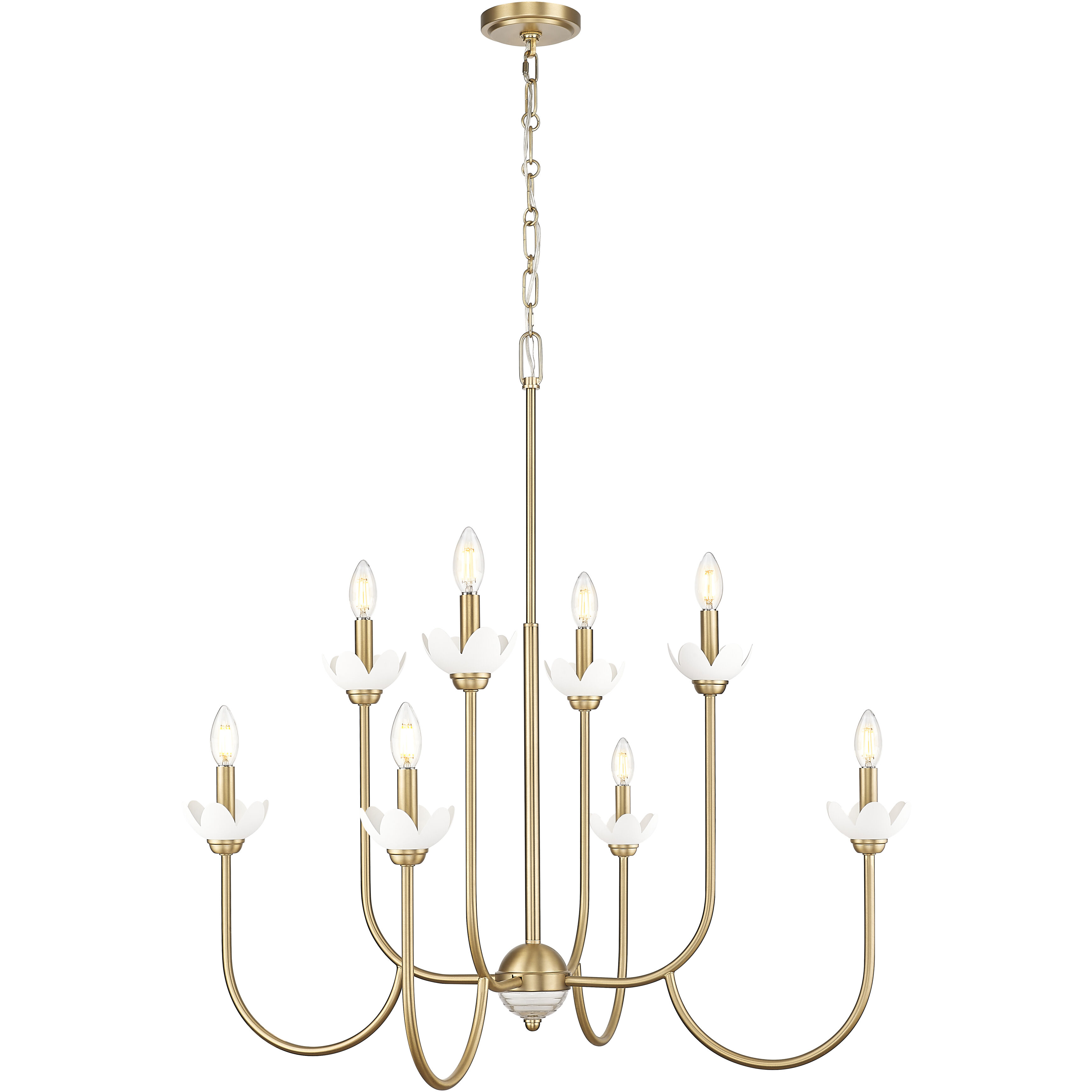 Allistair 8 Light 36.00 inch Chandelier