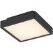 Patrol Q LED 9.29 inch Black Outdoor Ceiling Mount