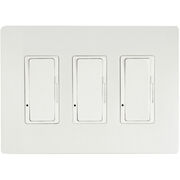 Dimmers & Switches