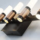 Albany LED 20 inch Brass and Black Vanity Light Wall Light
