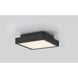 Patrol Q LED 9.29 inch Black Outdoor Ceiling Mount