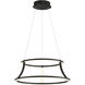 Cadoux LED 20 inch Black Chandelier Ceiling Light
