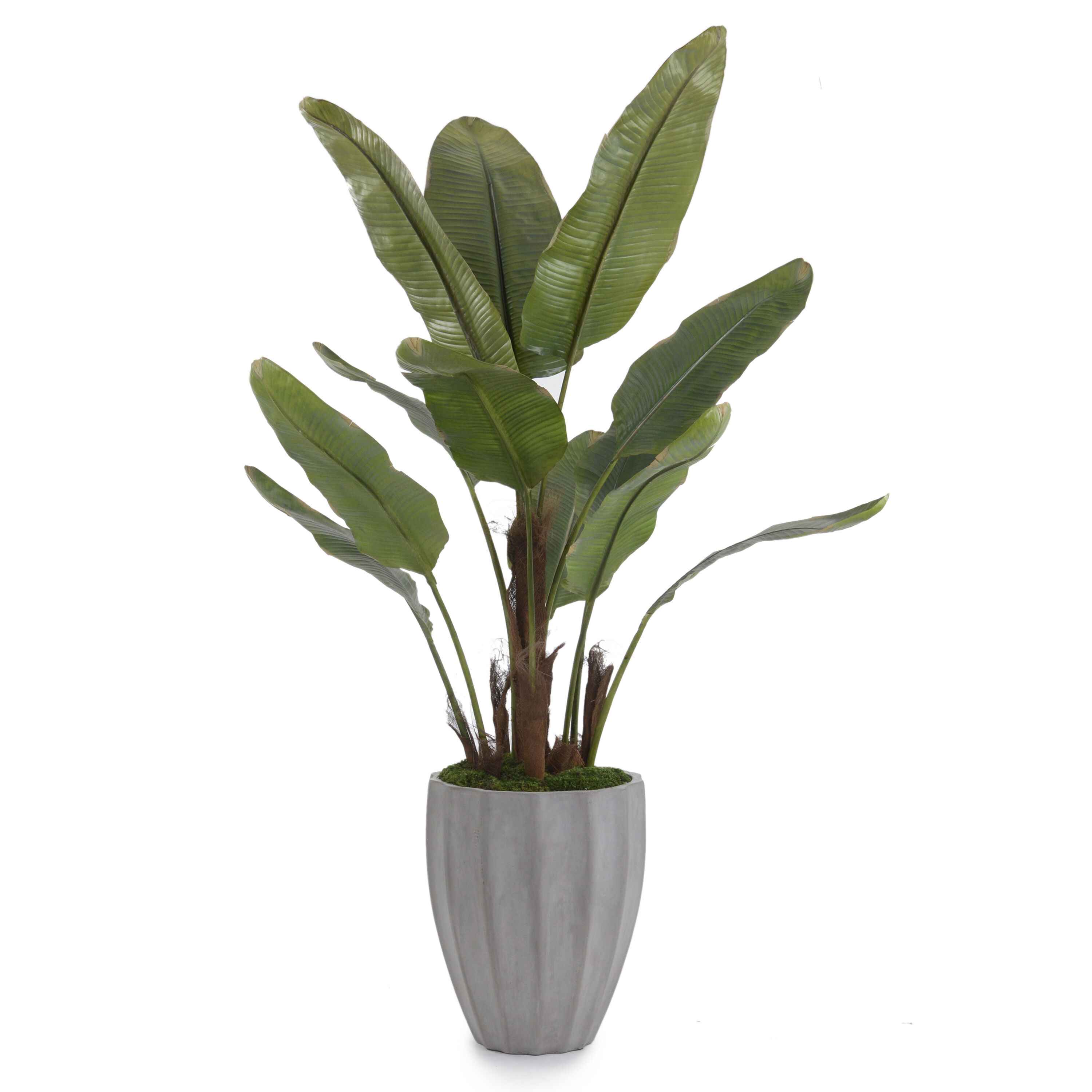 Leah Decorative Plant
