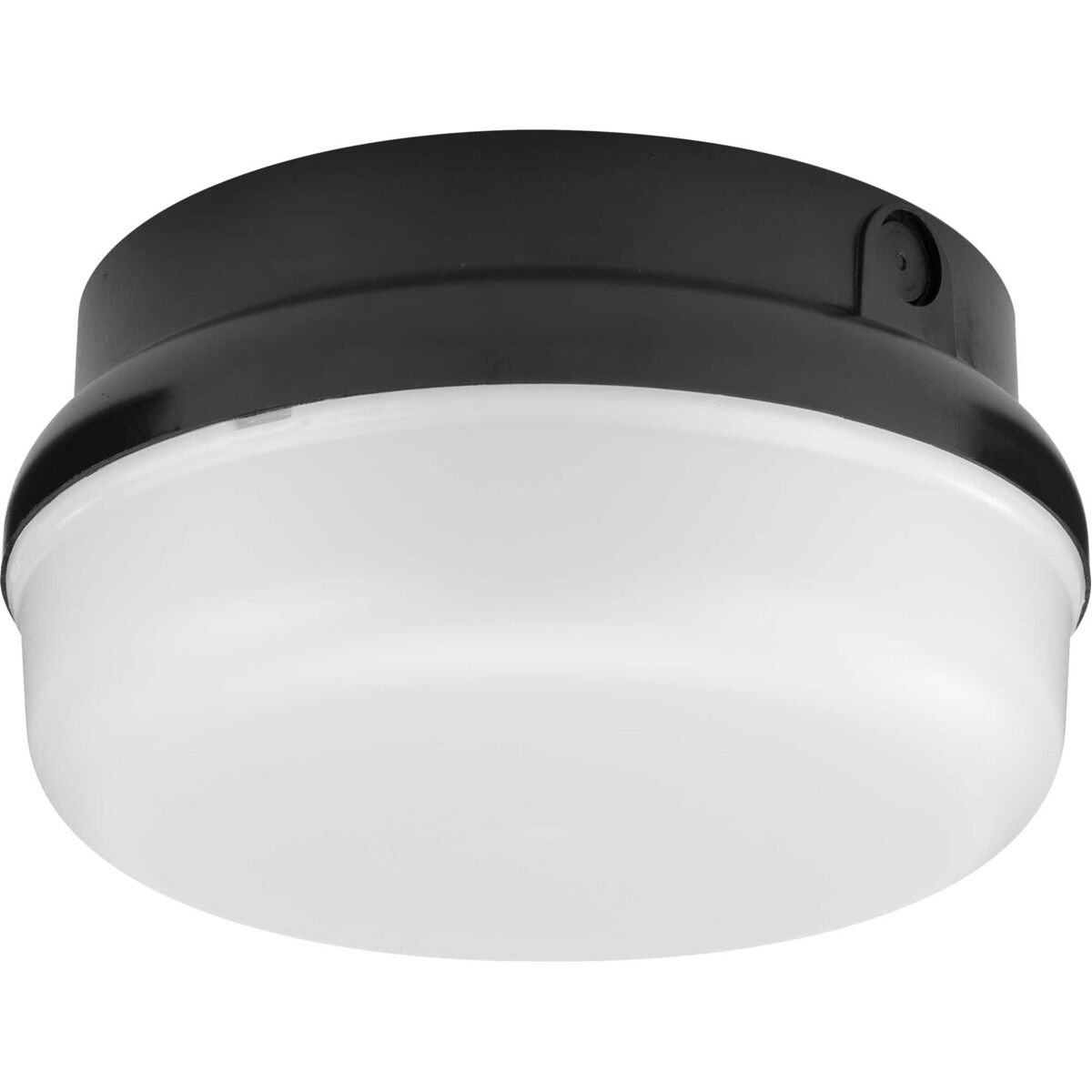 Hard Nox 1 Light 9.90 inch Outdoor Ceiling Light
