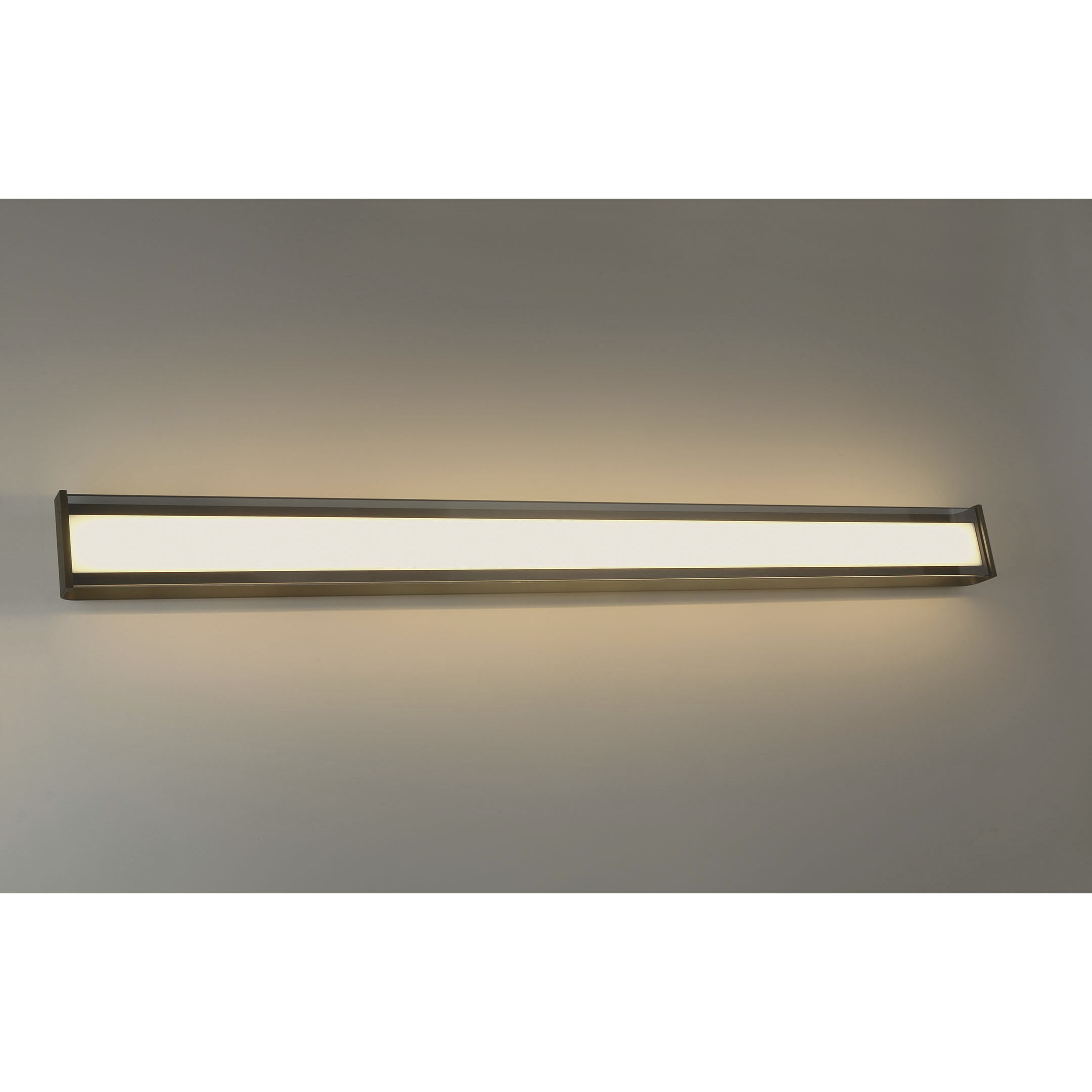 Dulton LED 61.5 inch Matte Black Outdoor Wall Sconce