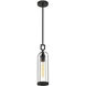 Yasmin 1 Light 5 inch Satin Black Outdoor Pendant