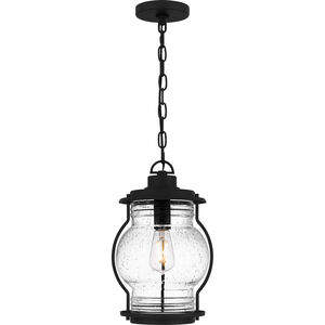 Luther 1 Light 9 inch Earth Black Outdoor Hanging Lantern, Large