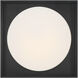 Rover LED 15 inch Black Flush Mount Ceiling Light