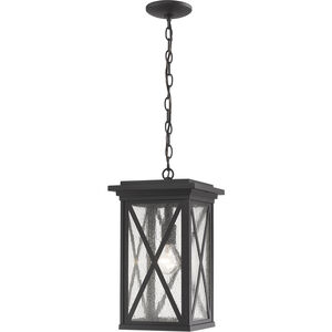 Brookside 1 Light 9.5 inch Black Outdoor Chain Mount Ceiling Fixture