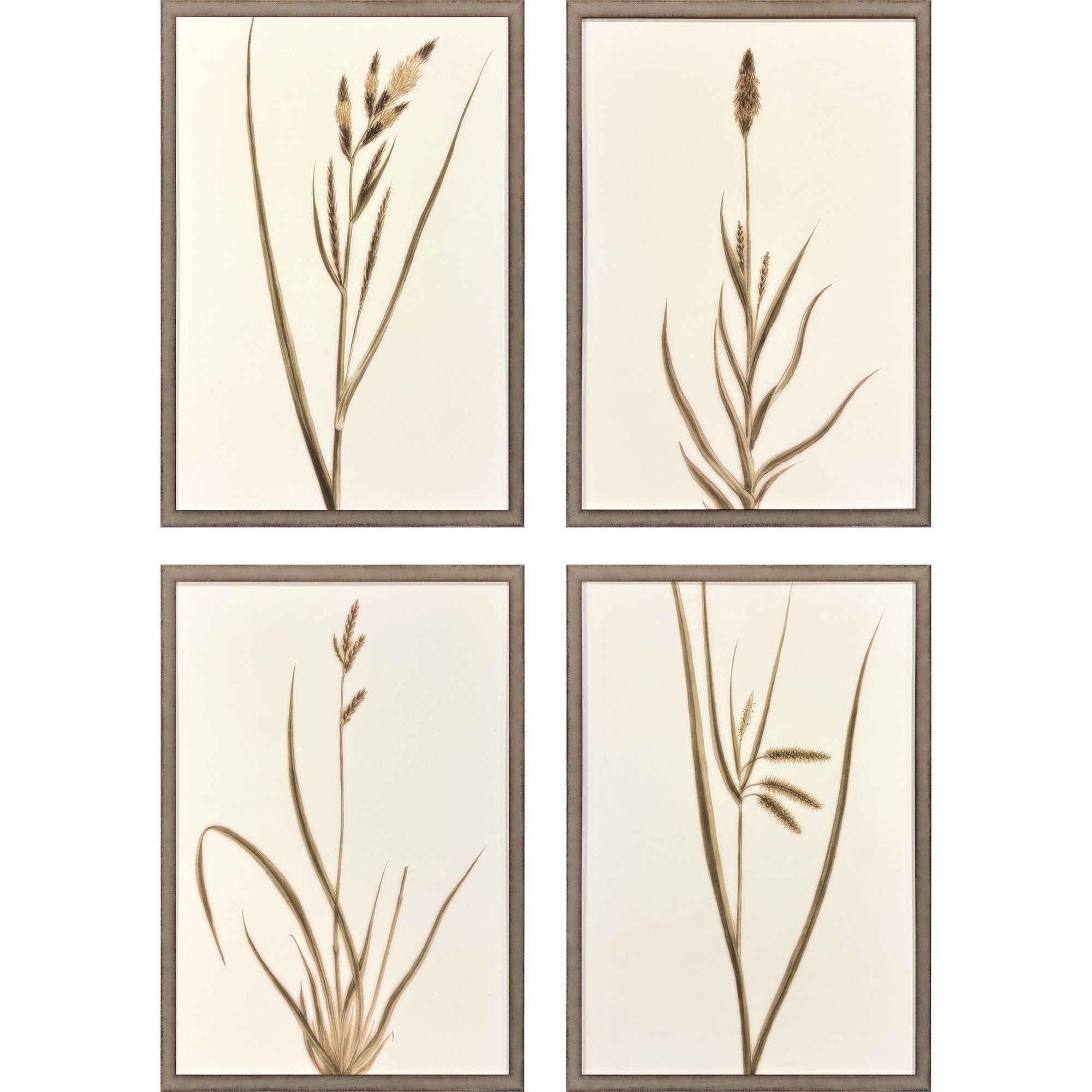 Varying Grasses Brown and Beige and Neutral Framed Art