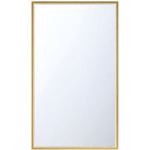 Cerissa 54 X 32 inch Gold Mirror