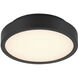 Patrol LED 9.84 inch Black Outdoor Ceiling Mount