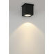 Arena 100 LED 4.33 inch Black Outdoor Ceiling Mount