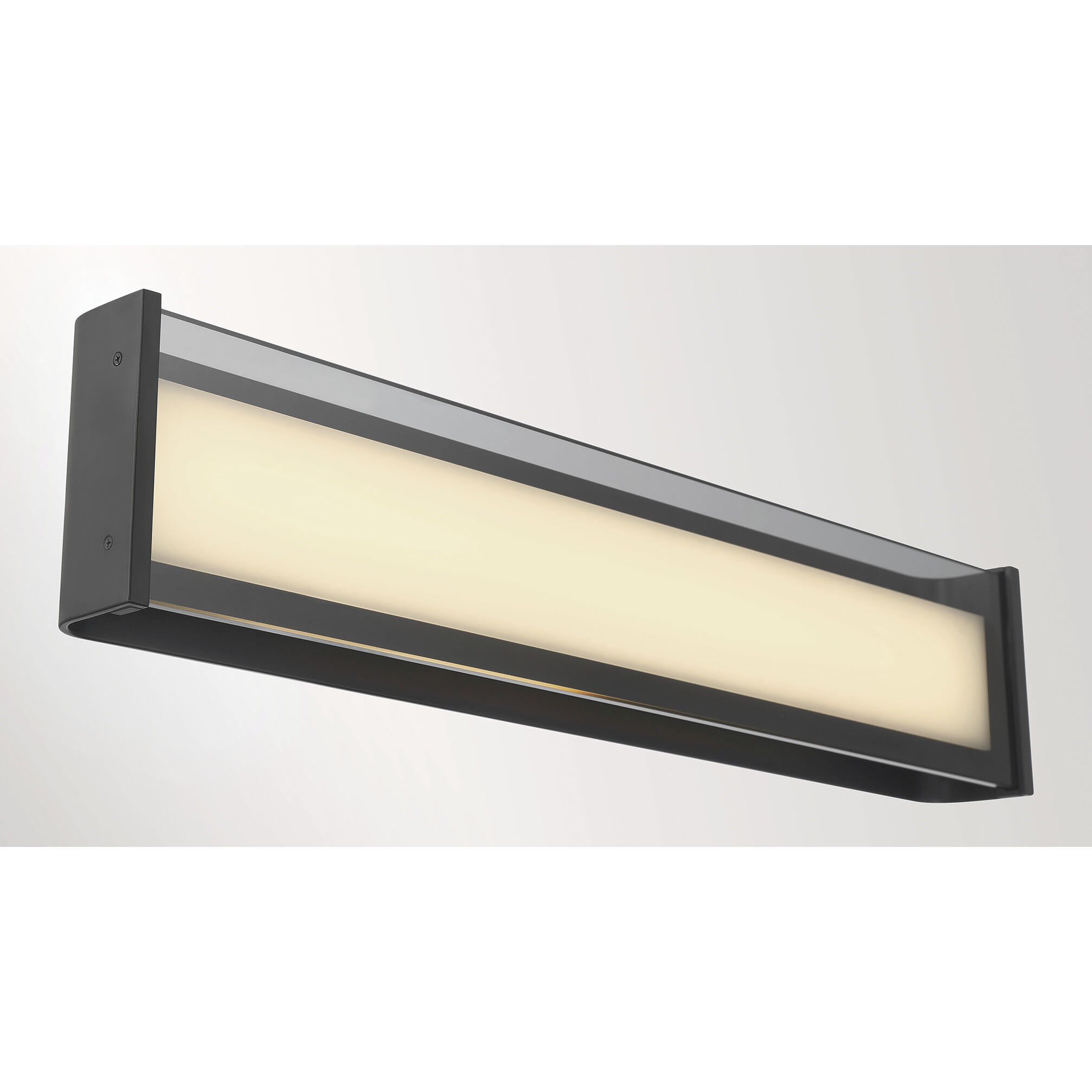Dulton LED 24.4 inch Matte Black Outdoor Wall Sconce