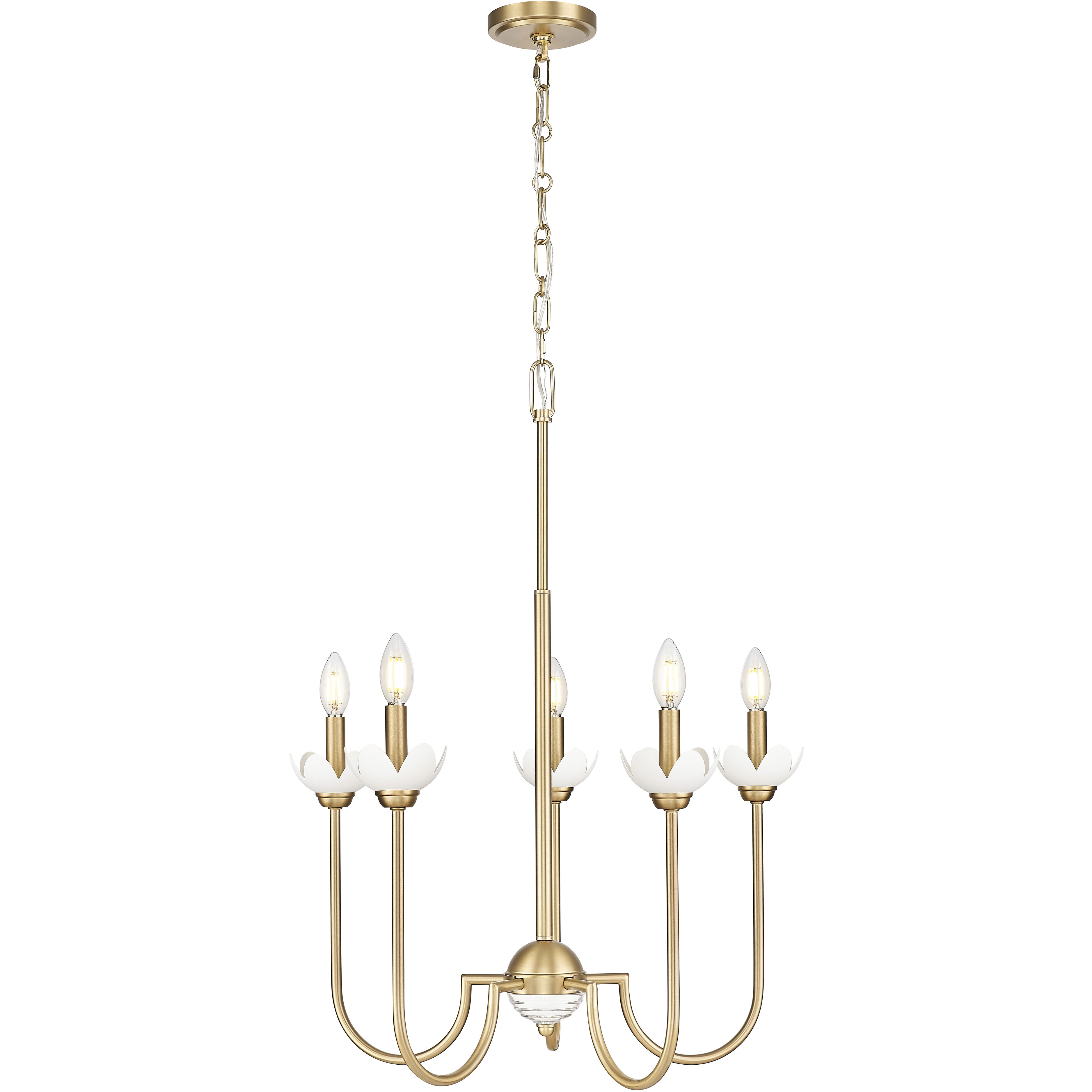 Allistair 5 Light 24.00 inch Chandelier