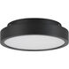 Patrol LED 9.84 inch Black Outdoor Ceiling Mount