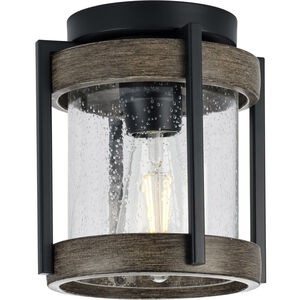 Whitmire 1 Light 7 inch Matte Black Outdoor Ceiling Mount