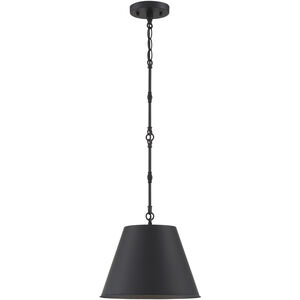 Alden 1 Light 12.00 inch Pendant