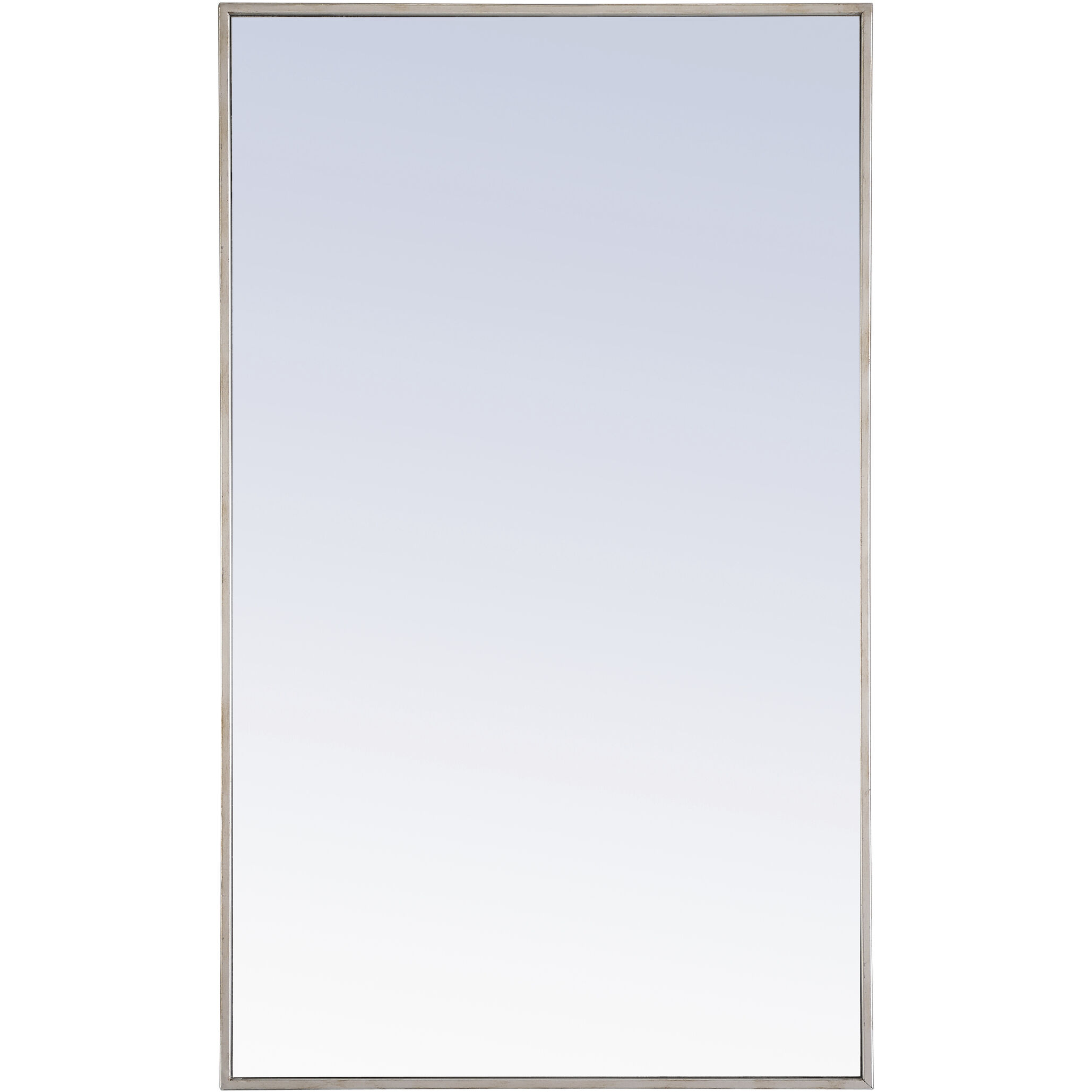 Monet 40 X 24 inch Silver Wall Mirror