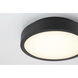 Patrol LED 9.84 inch Black Outdoor Ceiling Mount